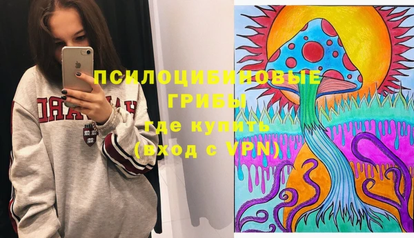 дживик Зерноград