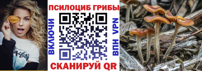 Купить закладки  Холмск  Псилоцибиновые грибы Psilocybe 
